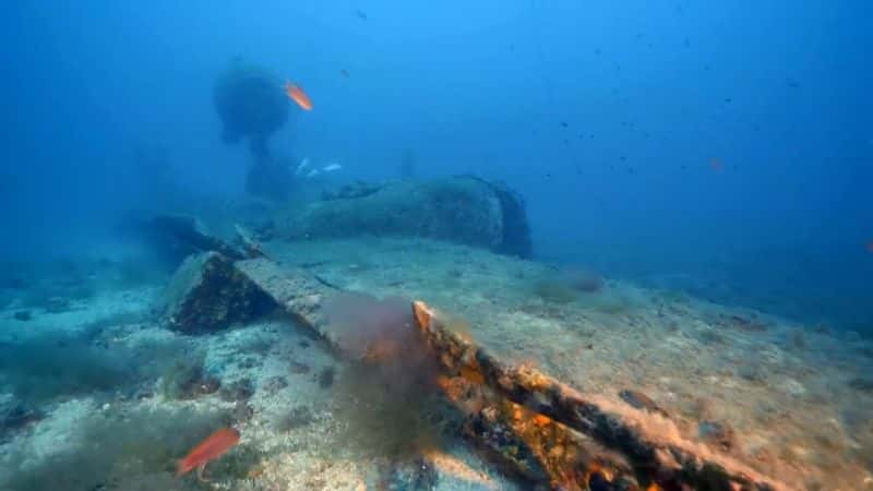 ¼Ƭ B-24 Last B-24Ļ/Ļ