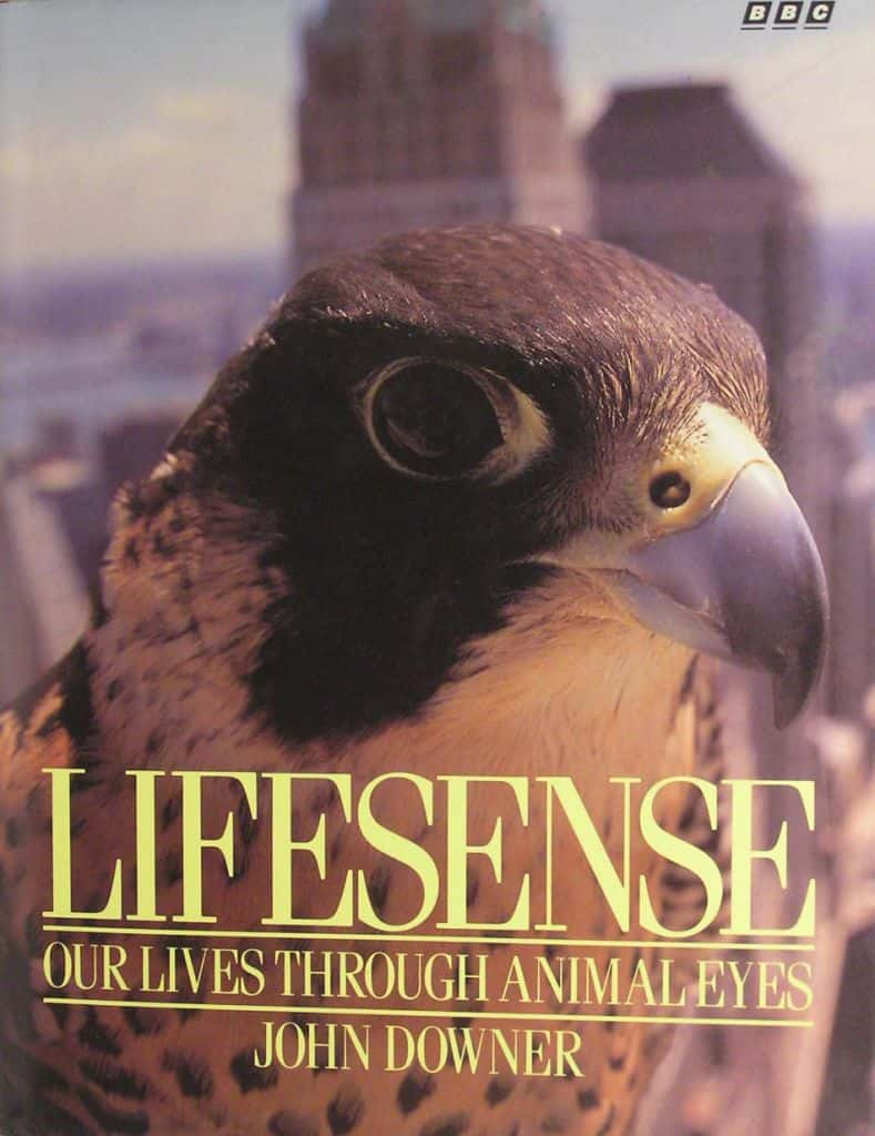 ¼Ƭ LifesenseĻ/Ļ