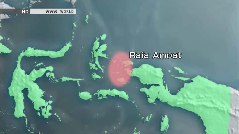 ¼ƬӡȺ Indonesia's Raja AmpatĻ/Ļ