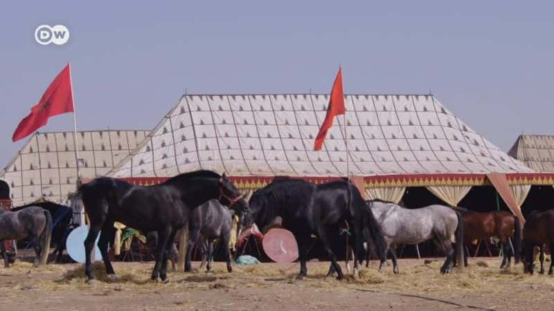 纪录片《摩洛哥女战士 Morocco's Warrior Women》[无字][BT][720P]资源下载