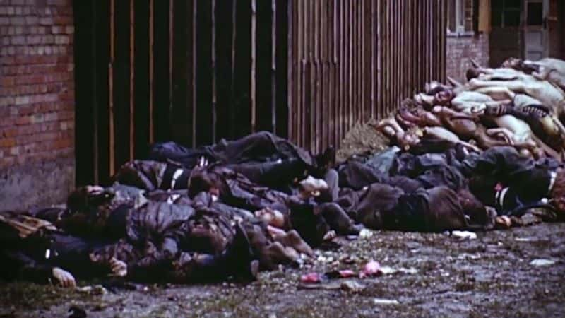 ¼Ƭɴ⼯Ӫϣɱ˻ڲıɱĽ Inside Hitlers Killing Machine the Nazi Camps: An Architecture of Murder1080P-Ļ/Ļ