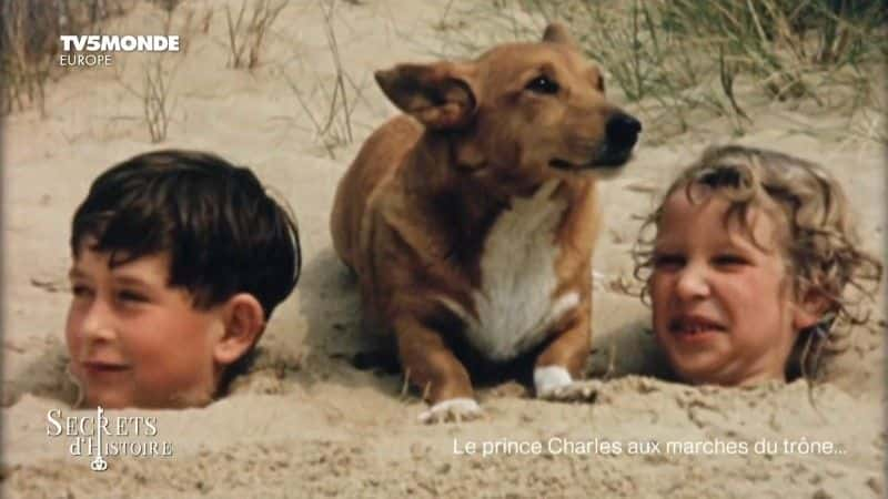 ¼Ƭ˹ӣ aux Marches du trone Le prince Charles, aux marches du troneȫ1-Ļ/Ļ