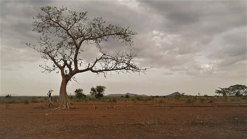 ¼Ƭı Last Treasures of the Earth1080P-Ļ/Ļ