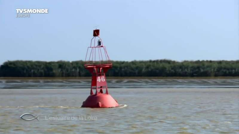 ¼Ƭ¬߶ӿ L'estuaire de la Loireȫ1-Ļ/Ļ