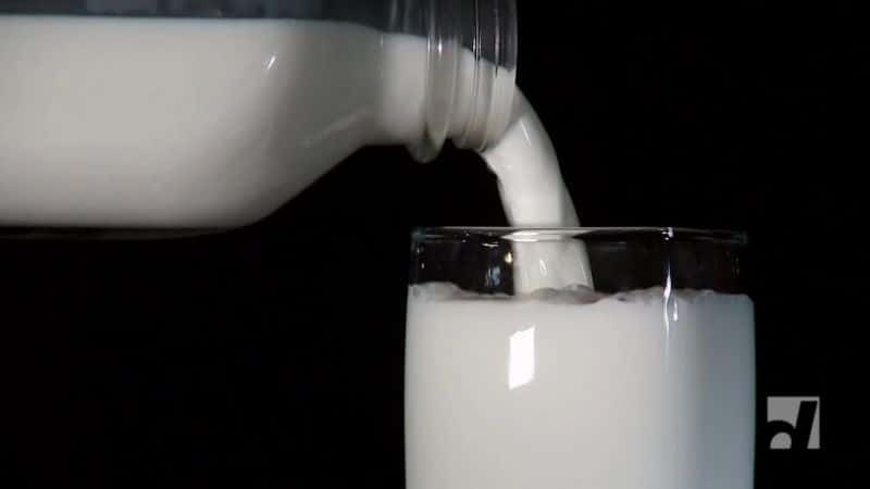 ¼Ƭţ̣ Milk?Ļ/Ļ