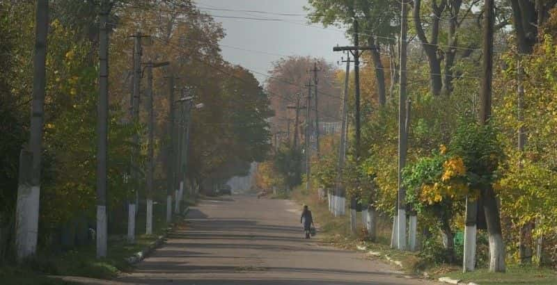 纪录片《在切尔诺贝利的阴影下 In the Shadow of Chernobyl》[无字][BT][1080P]资源下载