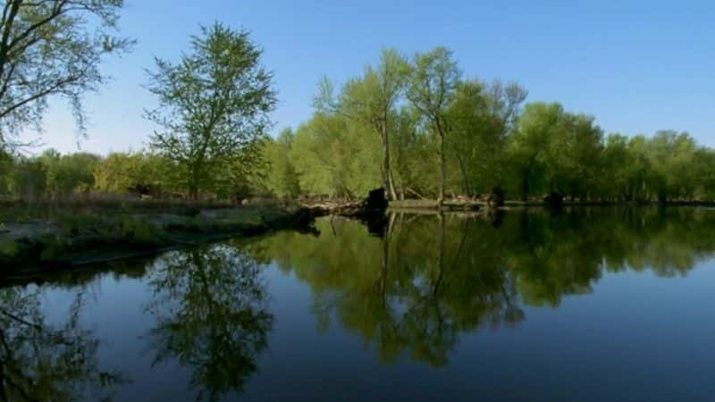 ¼ƬȺӣһֻĹ (BBC) Mississippi: Tales of the Last River Rat (BBC)1080P-Ļ/Ļ