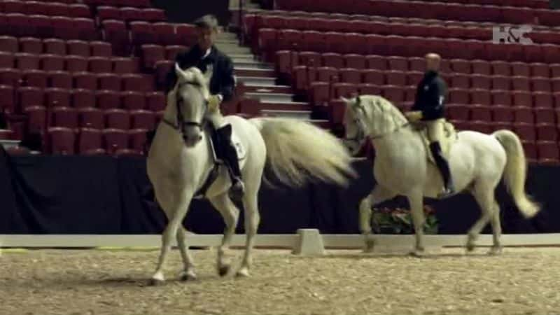 ¼ƬѧУڲ Inside the Spanish Riding SchoolĻ/Ļ