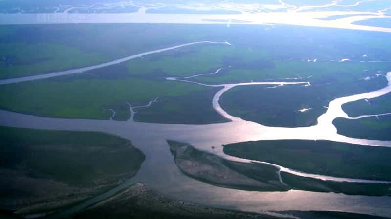 ¼Ƭ¶˹ʳ˻ Man-eating Tigers of the Sundarbansȫ1-Ļ/Ļ