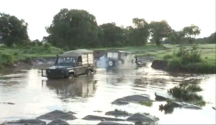 ¼Ƭ The Masai Mara Kenyaȫ8-Ļ/Ļ