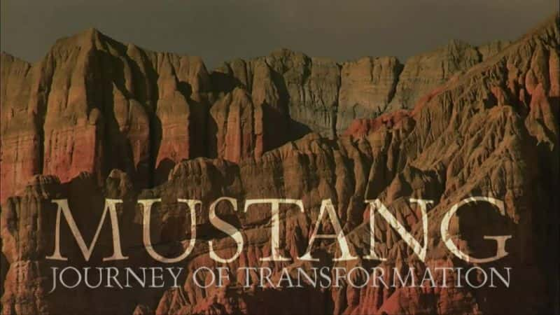 ¼ƬҰת֮ Mustang: Journey of TransformationĻ/Ļ