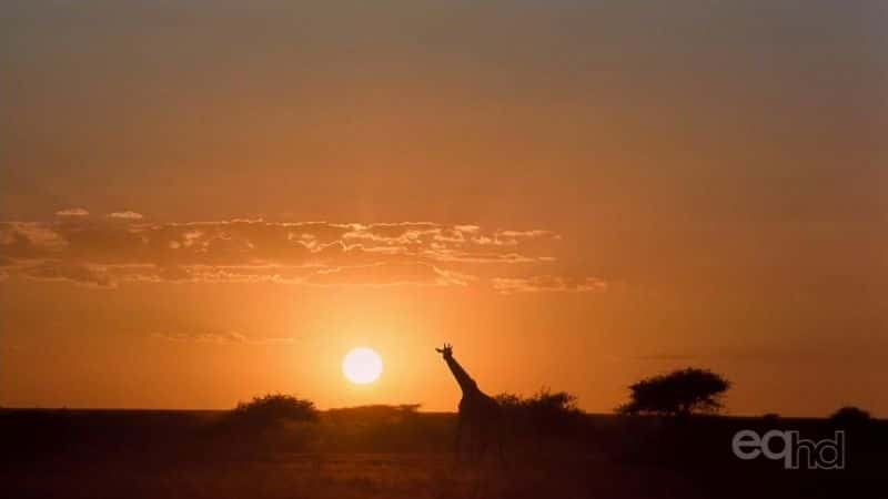 ¼Ƭɽݼ Kilimanjaro to the Roof of AfricaĻ/Ļ