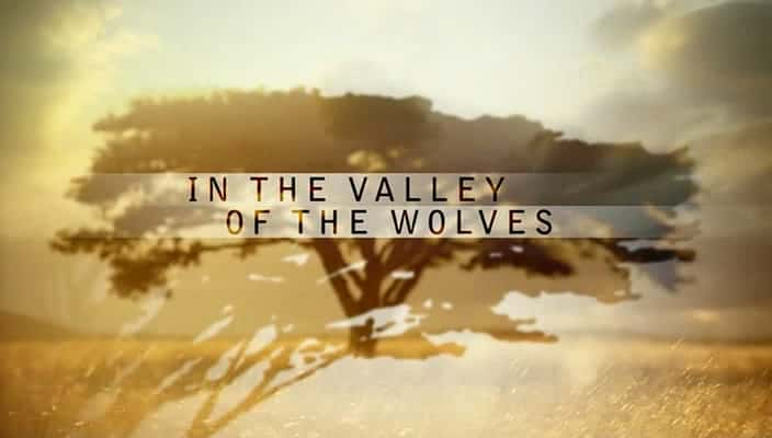 ¼Ƭǹ In the Valley of the WolvesĻ/Ļ