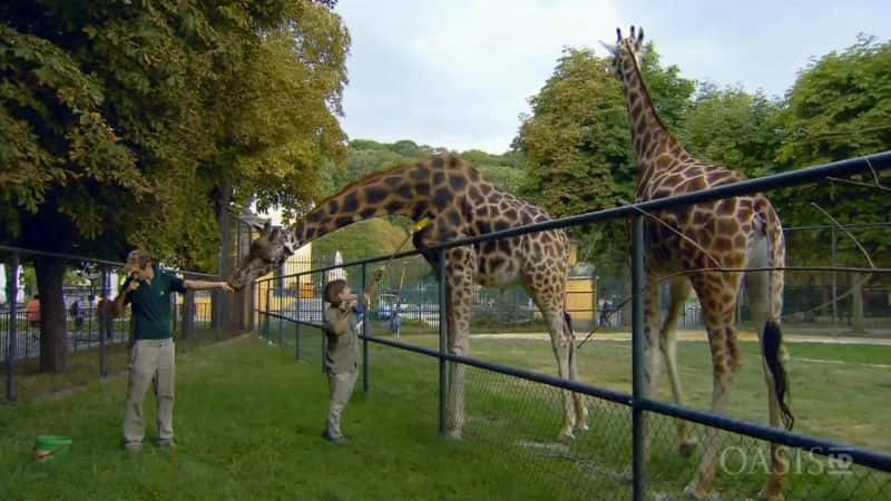 ¼Ƭػ -  Keepers of the Ark - A Life for AnimalsĻ/Ļ