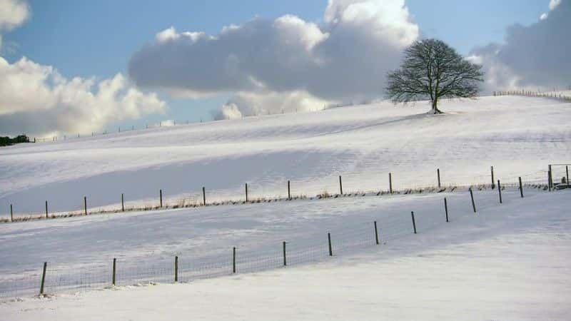 ¼ƬĿҰǿũ (BBC) Ireland's Wild River: The Mighty Shannon (BBC)1080Pȫ1-Ļ/Ļ