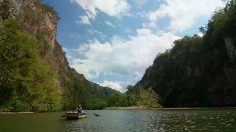 ¼ƬȻ磺ҰŰͼձ֮õ 1  Natural World : Wild Cuba a Caribbean Journey Part 11080P-Ļ/Ļ