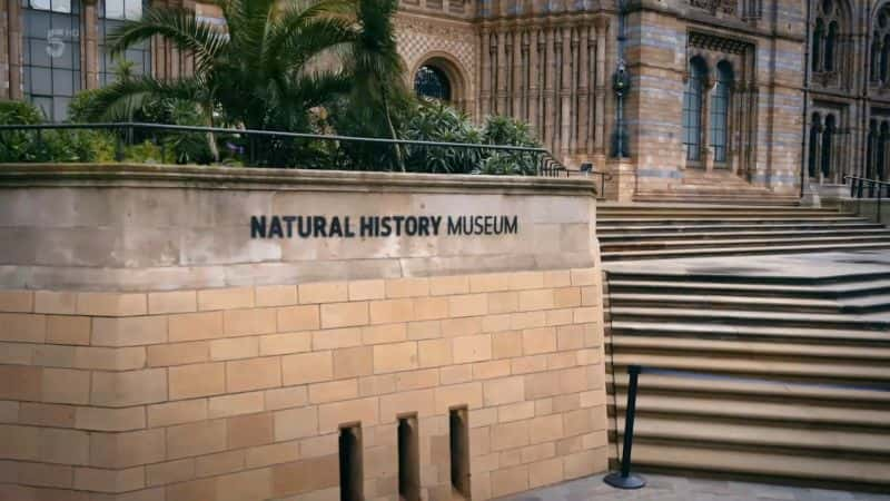 ¼ƬȻʷ漣磺ϵ 1  3  Natural History Museum World of Wonder: Series 1 Part 31080P-Ļ/Ļ