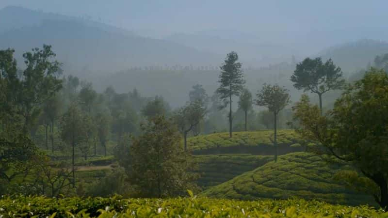 ¼ƬӡȻɾ India Natures Wonderlandȫ2-Ļ/Ļ