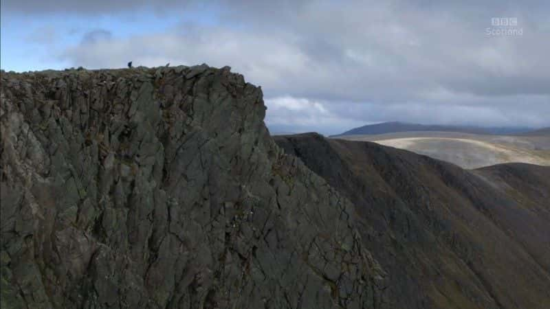 ¼Ƭɽķ֮ (BBC) The Living Mountain: A Cairngorms Journey (BBC)1080Pȫ1-Ļ/Ļ