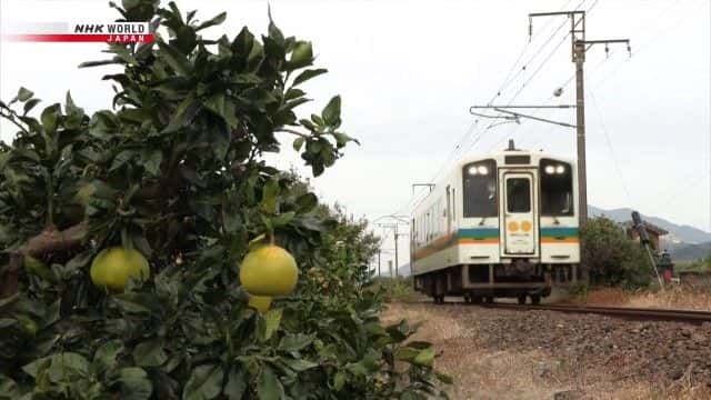 ¼Ƭϲĺ Living by the Sea along Kyushu's Southern Coastȫ1-Ļ/Ļ