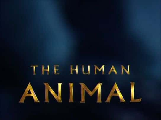 ¼Ƭද The Human AnimalĻ/Ļ