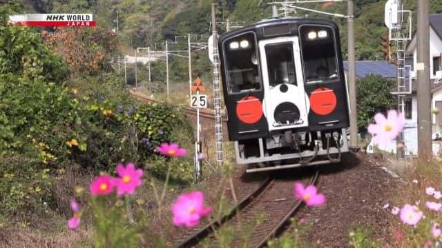 ¼Ƭϲĺ Living by the Sea along Kyushu's Southern Coastȫ1-Ļ/Ļ