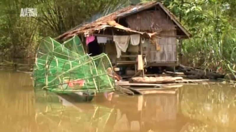 纪录片《人吃超级鳄鱼 Man Eating Super Croc》[无字][BT][1080P]资源下载