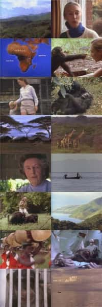 纪录片《珍·古道尔的一生和传奇 The Life and Legend of Jane Goodall》[无字] [BT][DVD画质]资源下载