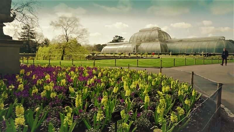 ¼ƬӢʼֲ԰֮ϵ 1 Kew Gardens: A Year in Bloom Series 11080Pȫ4-Ļ/Ļ