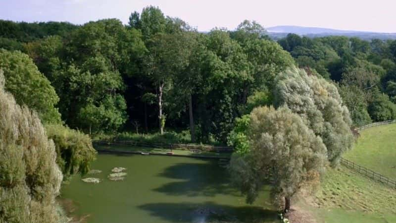 ¼Ƭֵ²ħ Magic Flute from Glyndebourne1080P-Ļ/Ļ