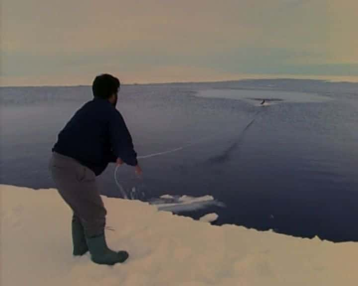 ¼ƬҰе Life in the Frozen WildernessĻ/Ļ