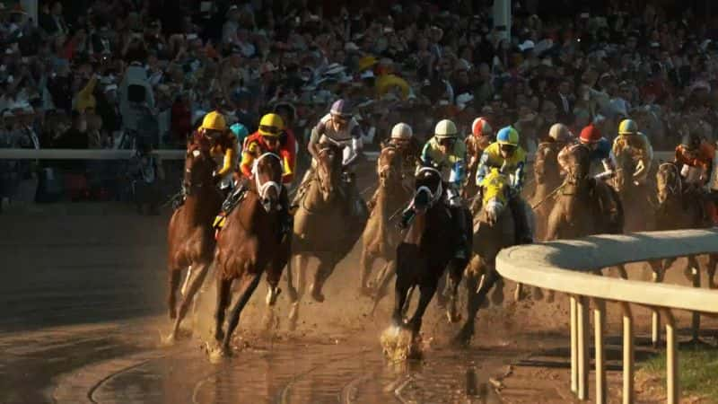 ¼ƬȻĹ Nature: Equus Story of the Horse1080P-Ļ/Ļ