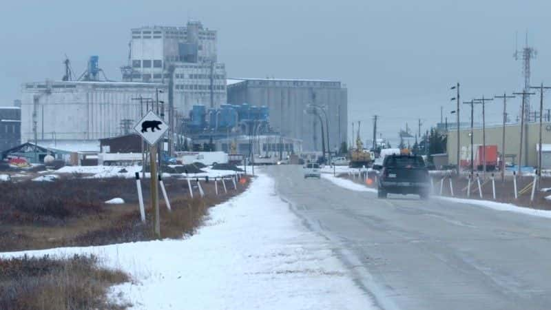 纪录片《北极熊镇的生活 Life in Polar Bear Town》[无字][BT][1080P]资源下载