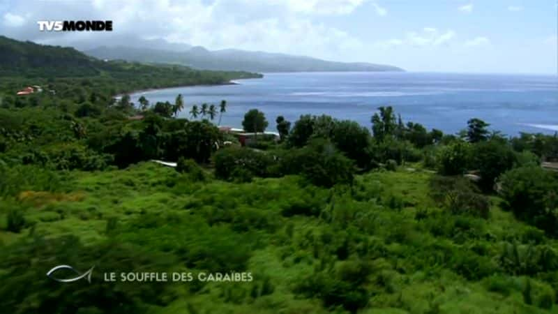 ¼ƬձȺܽ Le souffle des Caraibesȫ1-Ļ/Ļ