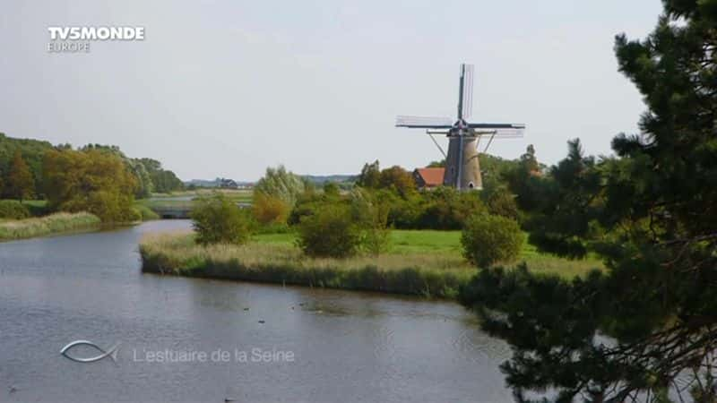 ¼Ƭɺӿ L'estuaire de la Seineȫ1-Ļ/Ļ