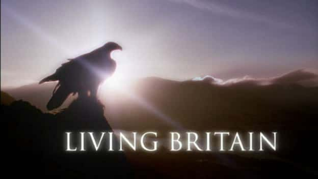 ¼ƬӢ Living Britainȫ6-Ļ/Ļ