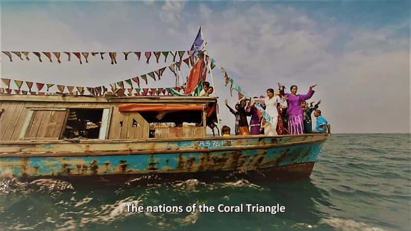 ¼ƬȻΰɺϵ1 Natures Greatest Secret the Coral Triangle Series 11080P-Ļ/Ļ