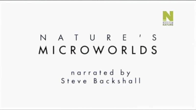 ¼ƬȻ΢磺ϵ 2 Nature's Microworlds: Series 2Ļ/Ļ