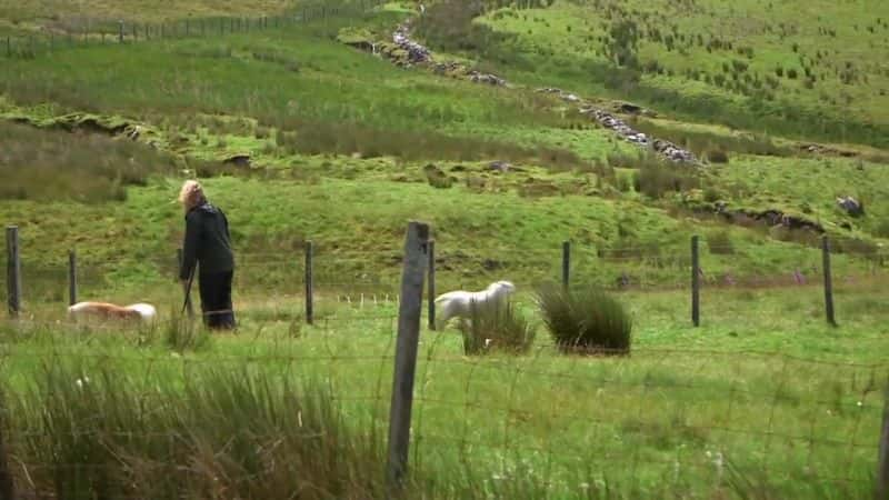 ¼Ƭء಼ҺҵȮ Kate Humble: My Sheepdog and MeĻ/Ļ