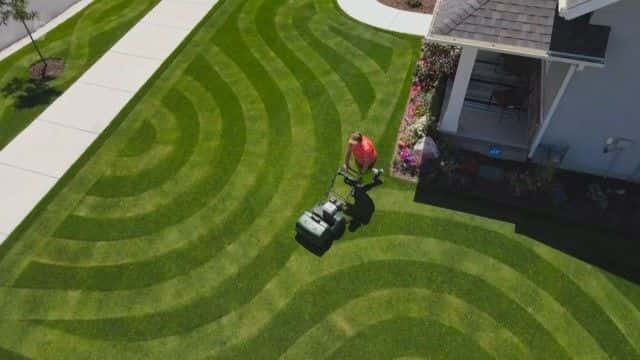 ¼ƬƺԶݵ Lawn and Order: Keep off the Grass1080Pȫ1-Ļ/Ļ