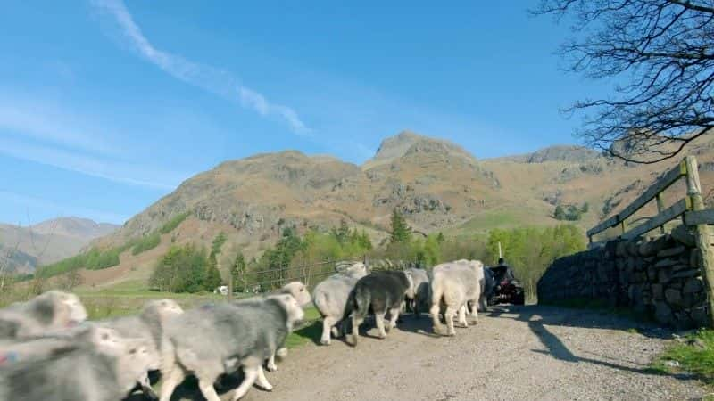 纪录片《湖区：狂野的一年 The Lake District: A Wild Year》[无字][BT][720P]资源下载