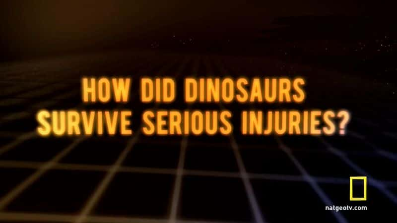 ¼Ƭ٪޼ CSIռؼ Jurassic CSI: Ultimate Dino Secrets SpecialĻ/Ļ