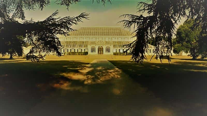 ¼ƬӢʼֲ԰֮ϵ 1 Kew Gardens: A Year in Bloom Series 11080Pȫ4-Ļ/Ļ