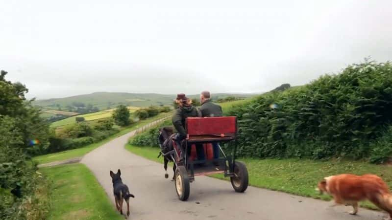 ¼Ƭء಼ҺҵȮ Kate Humble: My Sheepdog and MeĻ/Ļ