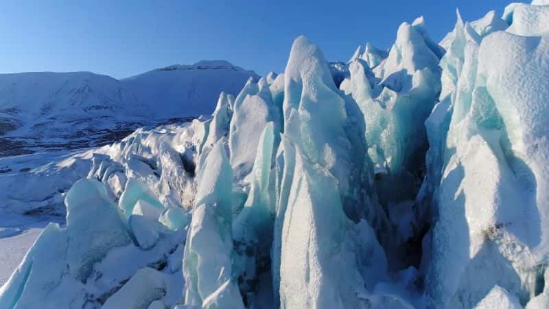 ¼Ƭ뱱ܵó My Journey with a Polar Bear1080P-Ļ/Ļ