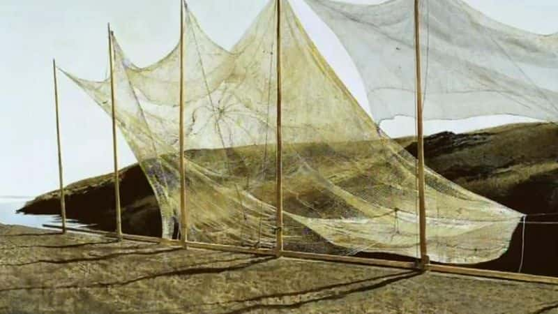 ¼Ƭڻϵ In Wyeth's Worldȫ1-Ļ/Ļ