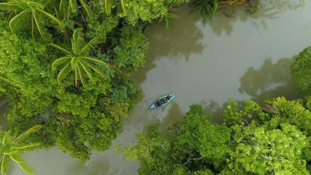 纪录片《爪哇犀牛的最后一战 Last Stand of the Javan Rhino》[无字][BT][720P]资源下载