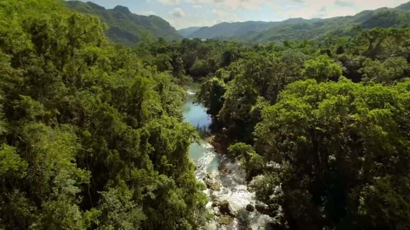 ¼ƬȻ磺ҰŰͼձ֮õ 1  Natural World : Wild Cuba a Caribbean Journey Part 11080P-Ļ/Ļ