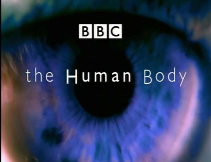 ¼Ƭ壨BBC The Human Body (BBC)Ļ/Ļ