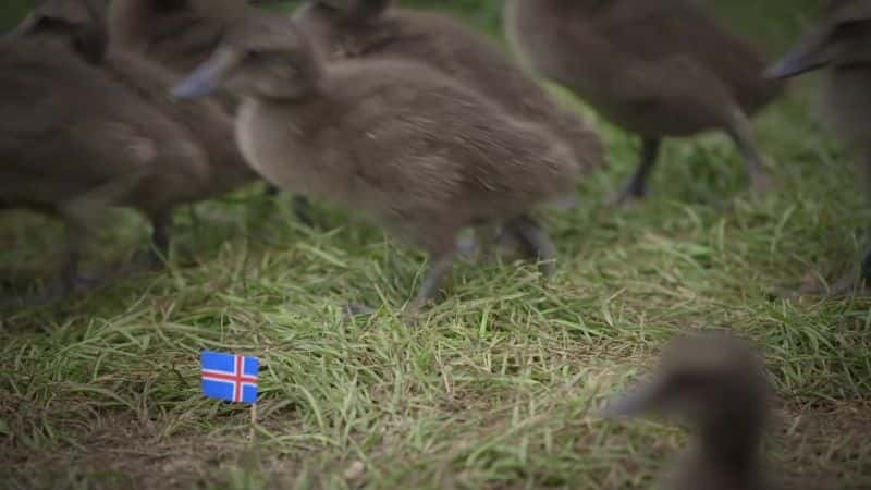 ¼Ƭ֮ Iceland: Land of Ice and Fireȫ1-Ļ/Ļ